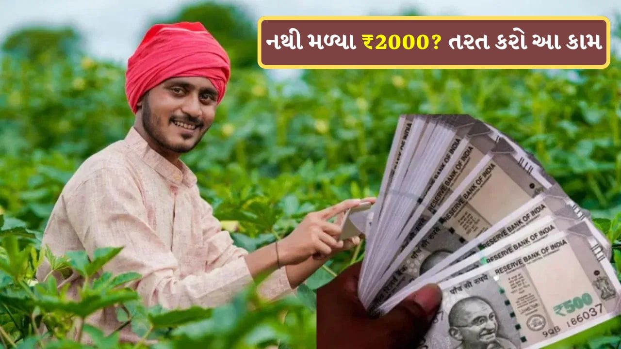PM Kisan Yojana: ખાતામાં 23મો હપ્તો ના આવ્યો હોય તો ગભરાશો નહીં, આ રીતે લિસ્ટમાં નામ ચેક કરો અને અહીં નોંધાવો ફરિયાદ