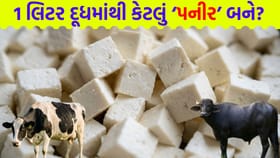 1 લિટર દૂધમાંથી કેટલા ગ્રામ 'પનીર' તૈયાર થાય છે?
