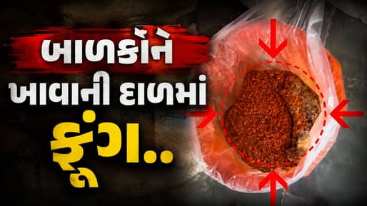 આંગણવાડીના મધ્યાહન ભોજનમાં ફૂગવાળી તુવેરદાળ, ગીર સોમનાથમાં વાલીઓ આકરા પાણીએ