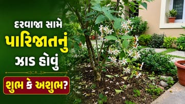 Parijat Tree : દરવાજા સામે પારિજાતનું ઝાડ હોવું શુભ કે અશુભ? જાણો પૌરાણિક માન્યતાઓ શું કે છે!