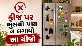ફ્રિજ પર કેવો મેગ્નેટ લગાવવો શુભ? વાસ્તુ શાસ્ત્રમાં જણાવ્યા ખાસ નિયમો