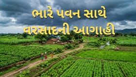 આજે અમદાવાદ સહિત સૌરાષ્ટ્ર અને કચ્છના આ વિસ્તારોમાં ખાબકશે વરસાદ