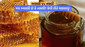 Real vs Fake: મધ અસલી છે કે નક્લી? ઘરે બેઠા કેવી રીતે નક્કી કરશો?
