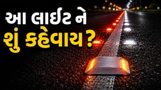 રાત્રે રસ્તા પર ચમકતી આ પીળી લાઈટોનું કામ શું છે ? જાણો તેની કિંમત અને અદભુત ફાયદા