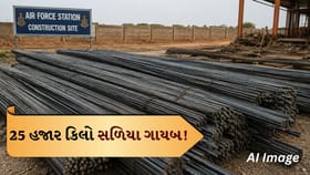 એરફોર્સ જમીન પરના પ્રોજેક્ટમાંથી 15 લાખના લોખંડના સળિયા ચોરાયા