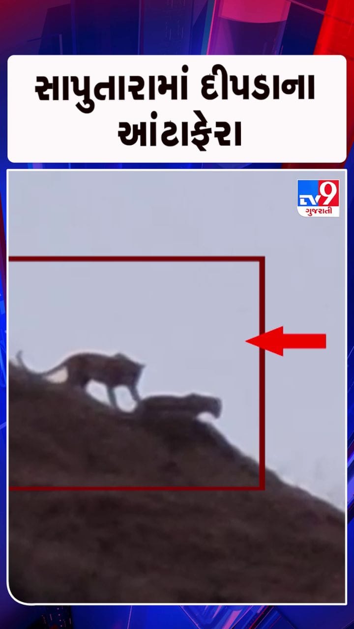 પ્રવાસન સ્થળે દીપડાની અવર-જવર