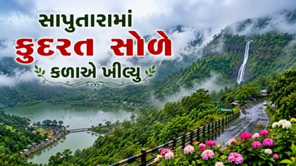 સાપુતારામાં આહલાદક વાતાવરણ, પહાડો પર ધુમ્મસની ચાદર, જુઓ Video