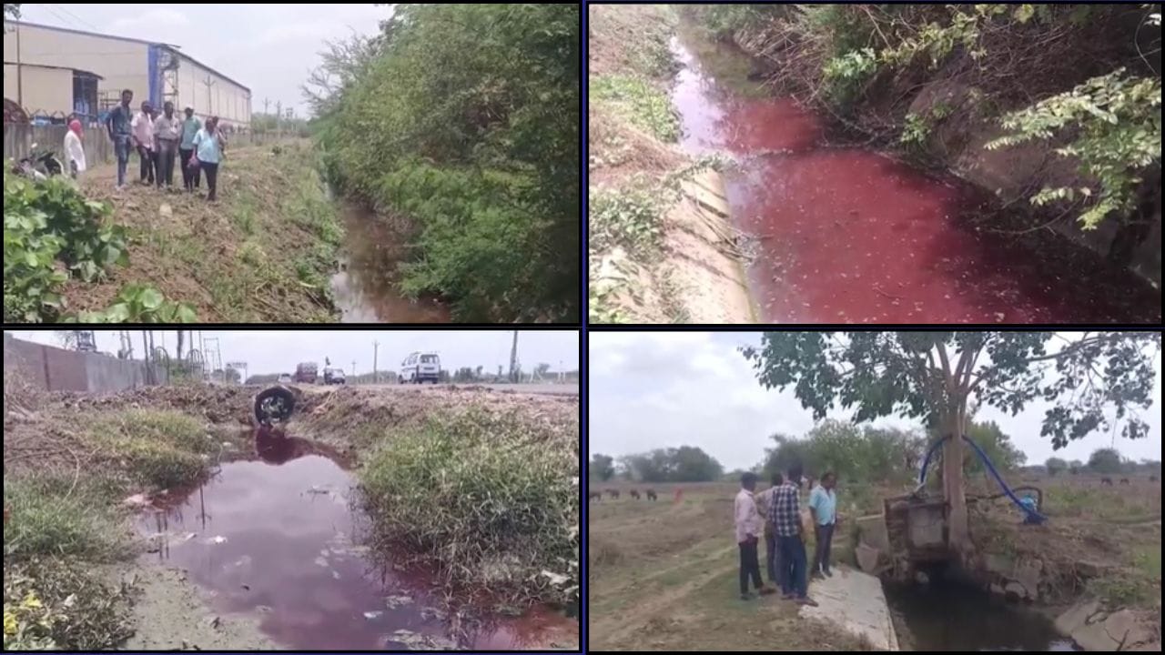 વડોદરા સાવલી : રાત્રિના અંધારામાં કેનાલમાં છોડાયું કેમિકલવાળું ઝેરી પાણી, ખેડૂતોનો ઉગ્ર આક્રોશ વડોદરા સાવલી : રાત્રિના અંધારામાં કેનાલમાં છોડાયું કેમિકલવાળું ઝેરી પાણી, ખેડૂતોનો ઉગ્ર આક્રોશ