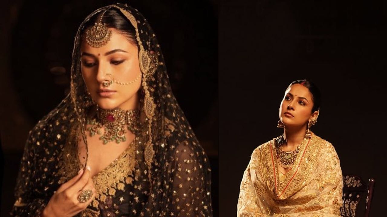 અભિનેત્રી કામ કરવાનું ચાલુ રાખે છે અને સોશિયલ મીડિયા પર ખૂબ સક્રિય છે. તેણીએ જણાવ્યું છે કે હાલમાં તેણીનો લગ્નનો કોઈ પ્લાન નથી. જોકે, તેણીનું નામ RCB ખેલાડી દેવદત્ત પડિકલ સાથે જોડાયેલું છે.