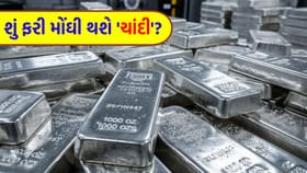 ભારે ઉતાર-ચઢાવ વચ્ચે 'ચાંદી'ના ભાવ વધશે, એક્સપર્ટ્સે 'મોટો ટાર્ગેટ'