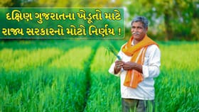 ગુજરાતના ખેડૂતો માટે મોટી રાહત, સરકારે ખેતી અંગે લીધો મોટો નિર્ણય