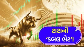 ટાટાની એક કંપની આપશે 'મોટું ડિવિડન્ડ', તો બીજી કંપની આપશે 'બોનસ શેર'