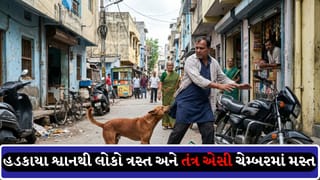રાજકોટથી દેવભૂમિ દ્વારકાના ખંભાળિયા સુધી રખડતા શ્વાનનો આતંક, બાળક સહિત અનેક લોકો પર હુમલા બાદ લોકોમાં ભય