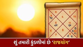 કુંડળીના કયા ઘરમાં બેસી રાજા જેવુ સુખ આપે છે સૂર્યદેવ