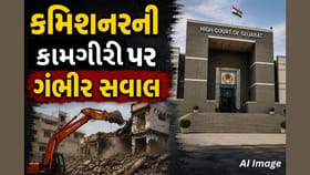 નાસીરનગર ડિમોલિશન મામલે પોલીસ અને તંત્રને હાઈકોર્ટની ફટકાર