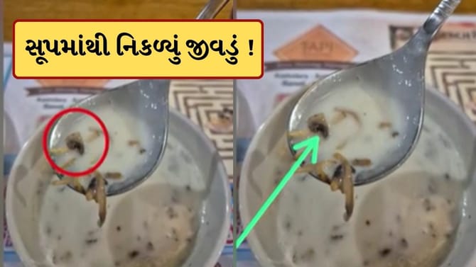 કામરેજની તાપી રેસ્ટોરન્ટમાં સૂપમાંથી નીકળ્યું જીવડું ! જુઓ-Video