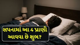 સપનામાં દેખાતા આ 4 પ્રાણીઓ આપે છે શુભ સંકેતો?