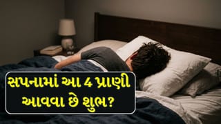 Swapna Shastra : સપનામાં દેખાતા આ 4 પ્રાણીઓ આપે છે શુભ સંકેતો?