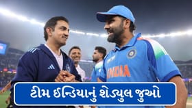 Breaking News : IPL 2026 પછી જોઈ લો ટીમ ઈન્ડિયાનું શેડ્યુલ