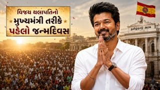 Thalapathy Vijay Birthday: વિજય થલાપતિ ફિલ્મોથી મુખ્યમંત્રીની ખુરશી સુધીની તેમની સફર કેવી રહી? જાણો