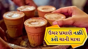 દરરોજ કેટલી ચા પીવી ફાયદાકારક? નિષ્ણાતોએ આપી મહત્વની સલાહ