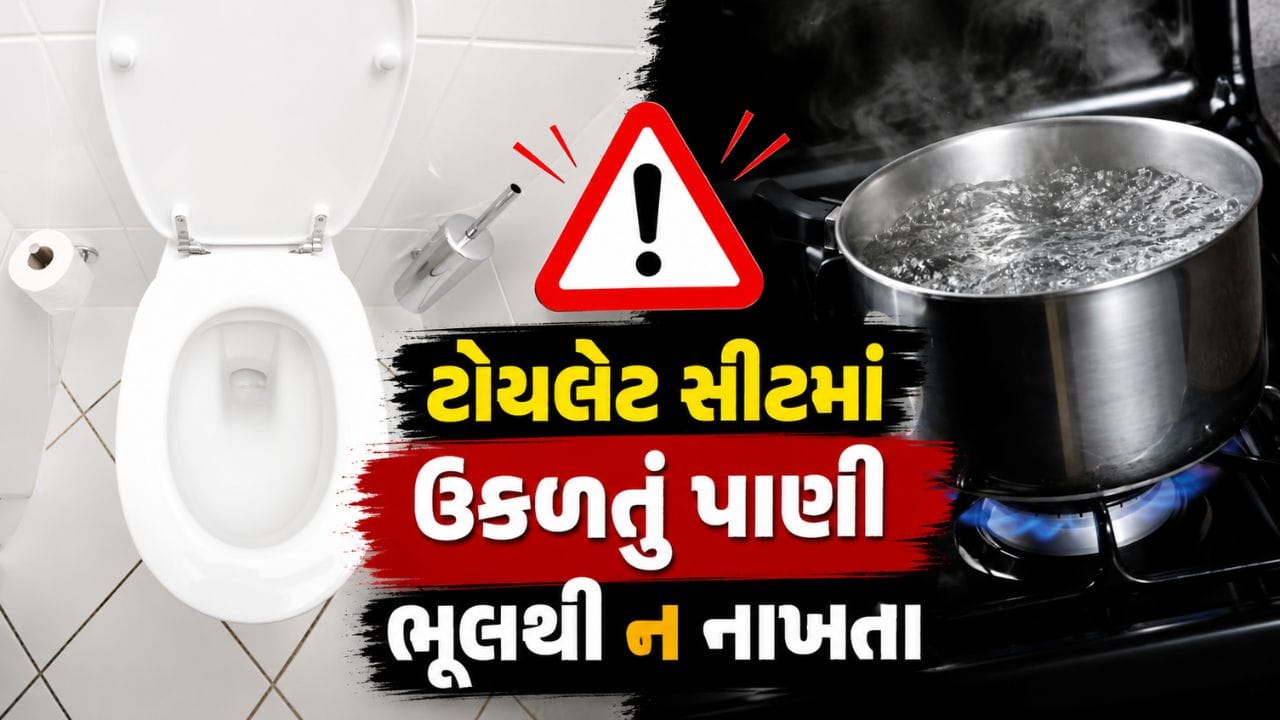 ટોયલેટ સીટમાં ઉકળતું પાણી કેમ ન રેડવું જોઈએ ? ચોંકાવનારી વાત તમે નહીં જાણતા હોવ