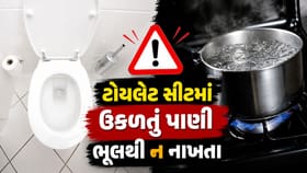 ટોયલેટ સીટમાં ઉકળતું પાણી કેમ ન રેડવું જોઈએ?
