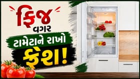 ફ્રિજમાં નહીં, આ રીતે રાખશો તો ટામેટાંનો સ્વાદ અને તાજગી જળવાઈ રહેશે