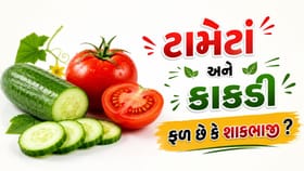 ટામેટાં અને કાકડી ફળ છે કે શાકભાજી ? જાણો શું કહે છે વિજ્ઞાન
