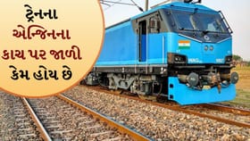 ટ્રેનના એન્જિન પરની લોખંડની જાળી શું કામ કરે છે? જાણો રેલવેનું સિક્રેટ