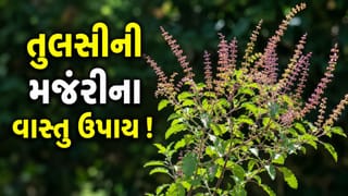 Tulsi Manjari: તુલસીની મંજરીને ફેંકી દેવાની ના કરતા ભૂલ ! બસ કરી લેજો આ 5 ઉપાય