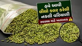 ઊંઝામાં મસાલાની ભેળસેળનું મોટું કૌભાંડ સામે આવ્યું, જુઓ Video
