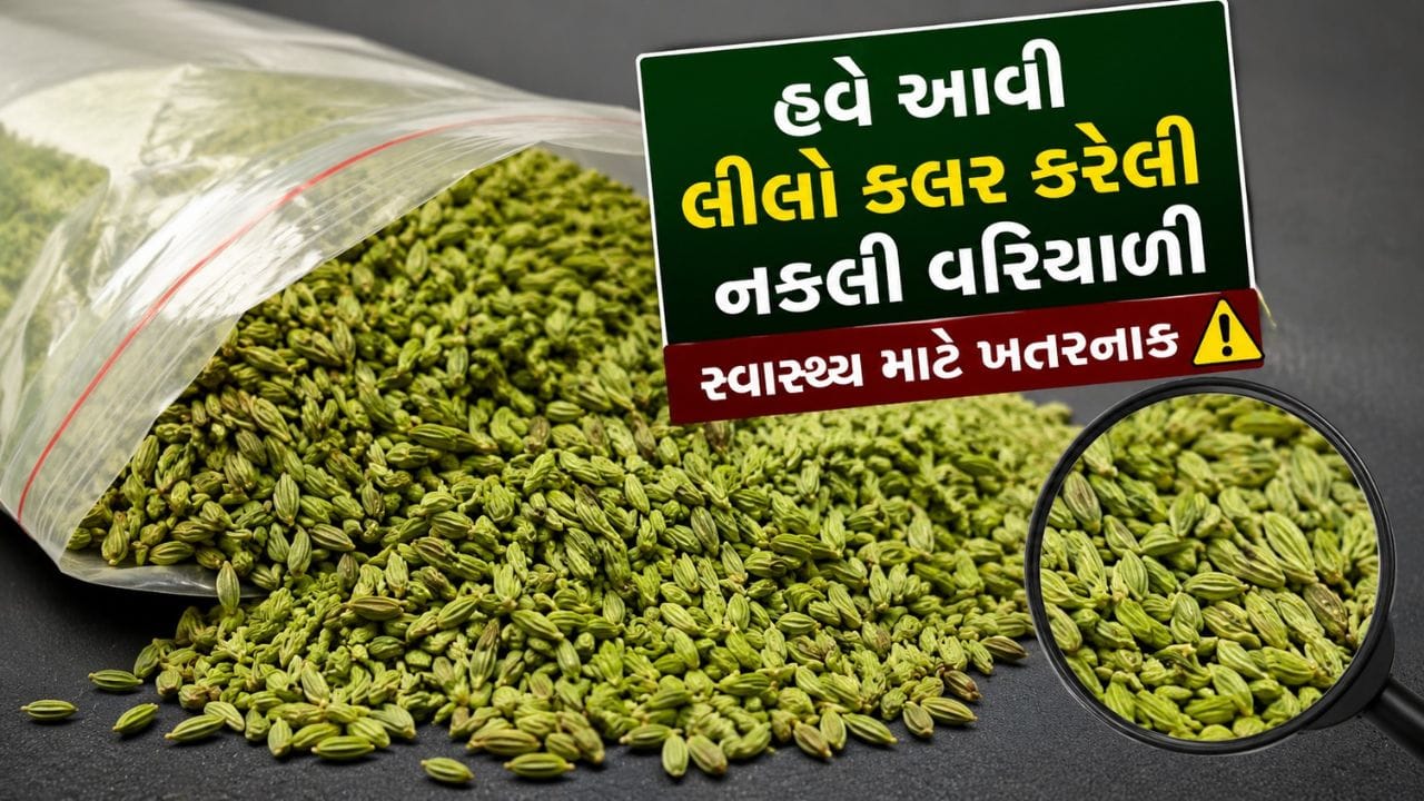 અરે બાપરે... આ વરિયાળી ખાધી તો ગયા સમજજો ! ઊંઝામાં મસાલાની ભેળસેળનું મોટું કૌભાંડ સામે આવ્યું, જુઓ