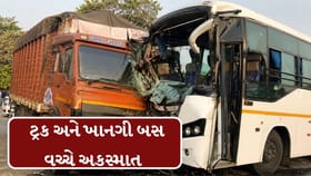 વડોદરામાં ટ્રક અને ખાનગી બસ વચ્ચે સર્જાયો અકસ્માત, 10ના મોત