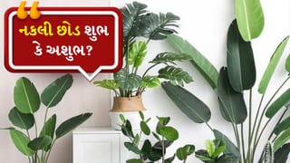 Vastu Tips: ઘરની સજાવટમાં નકલી છોડ રાખો છો? પહેલા જાણી લો વાસ્તુના આ મહત્વના નિયમો