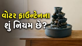 ઘરમાં વોટર ફાઉન્ટેન રાખતા પહેલાં જાણી લો આ 5 નિયમ !