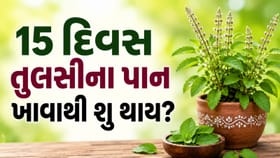 સતત 15 દિવસ સુધી તુલસીના પાન ખાવાથી શું થશે ? જાણો તેના 3 અદભૂત ફાયદા