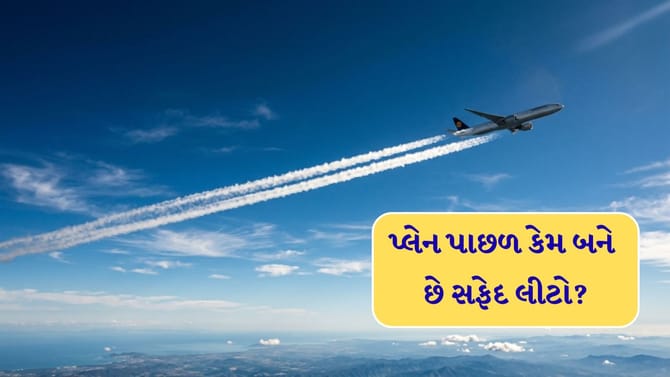 પ્લેન પાછળ દેખાતો સફેદ લીટો શું છે? સત્ય જાણી ચોંકી જશો!
