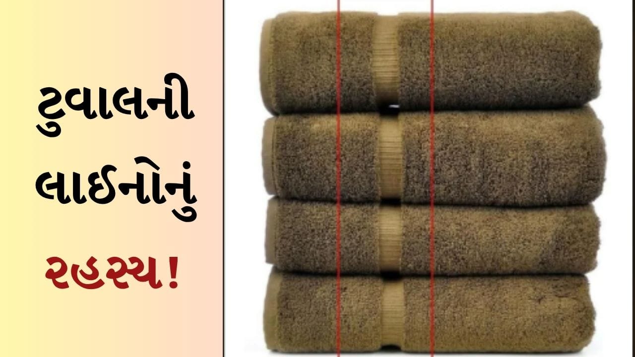 ટુવાલ પરની પટ્ટીઓ માત્ર ડિઝાઇન નથી! તેની પાછળનું રહસ્ય જાણીને ચોંકી જશો, 90% લોકોને ખબર નહીં હોય!