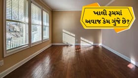 ખાલી ઘર ભૂતિયા નથી! અવાજના પડઘા પાછળ છુપાયેલું છે વિજ્ઞાન