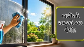 સ્ક્રબિંગ વગર બારીઓ થશે નવી જેવી ચમકદાર, અજમાવો આ ઘરેલું ઉપાયો