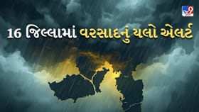 ગુજરાતના 16 જિલ્લામાં યલો એલર્ટ જાહેર