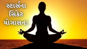એરિયલથી અષ્ટાંગ સુધી, આ સ્ટાર્સ કરે છે સૌથી મુશ્કેલ યોગાસન