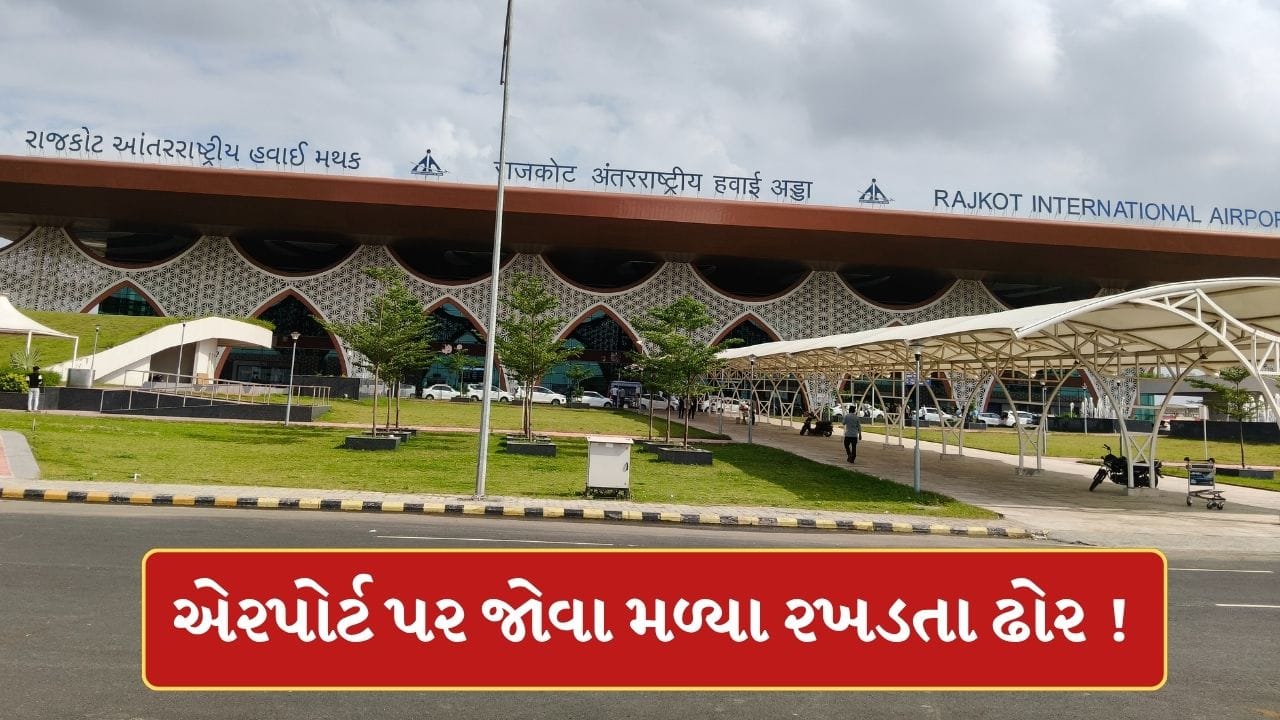 Rajkot Breaking News : એરપોર્ટ પર રખડતા ઢોરનો વીડિયો વાયરલ ! સુરક્ષા વ્યવસ્થાને લઈને ઉઠ્યા સવાલ, જુઓ-Video Rajkot Breaking News : એરપોર્ટ પર રખડતા ઢોરનો વીડિયો વાયરલ ! સુરક્ષા વ્યવસ્થાને લઈને ઉઠ્યા સવાલ, જુઓ-Video