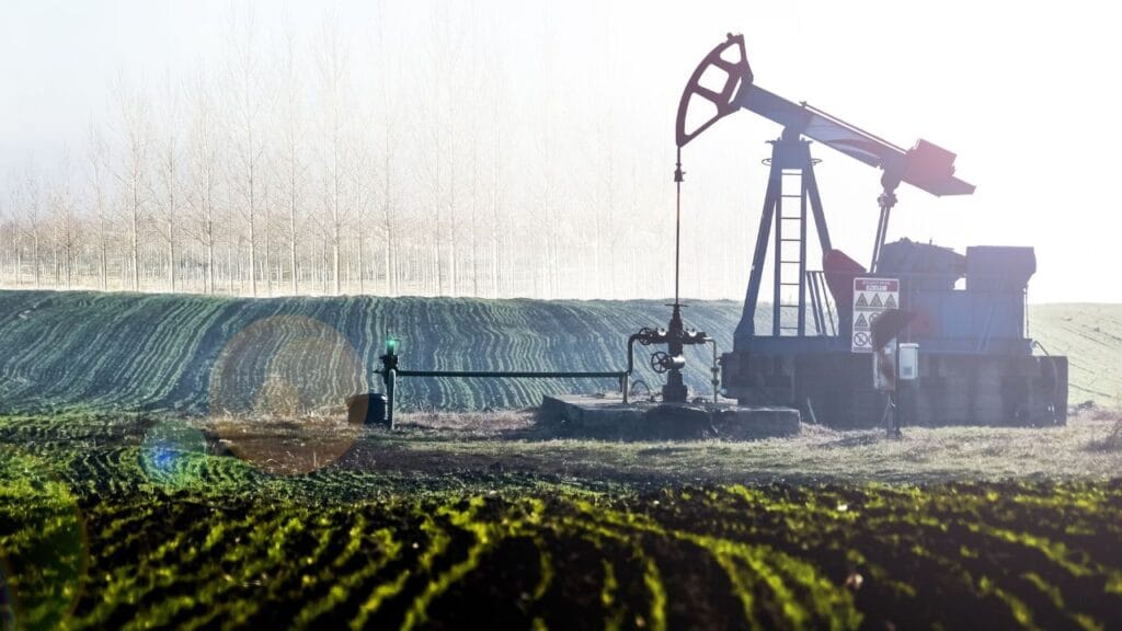Crude Oil Drops 8 Percent Will Petrol And Diesel Prices Come Down In India explained