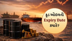 Crude Oil: પૃથ્વીમાં દટાયેલું ક્રૂડ તેલ ક્યારે ખતમ થશે?