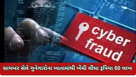 ભરૂચ પોલીસે ગુનેગારોના ખાતામાંથી ખેંચી લીધા રૂપિયા 60 લાખ
