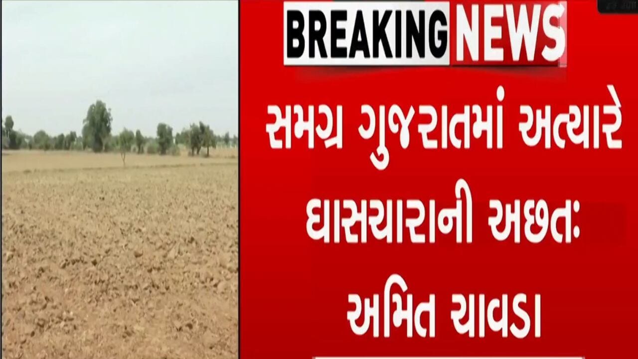 કુદરત રુઠી છે ત્યારે સરકાર ના રુઠે, ખેડૂતોને 12 કલાક વીજળી આપો, પશુપાલકોને ઘાસચારો આપો: કોંગ્રેસ