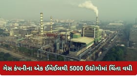 ગેસ કંપનીના એક ઈમેઈલથી 5000 ઉદ્યોગોમાં ચિંતા વધી