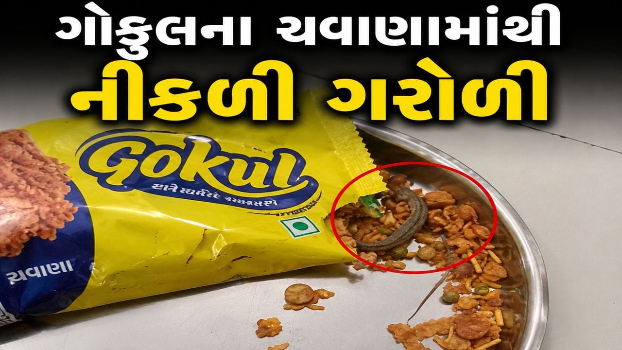 Breaking News : અરરર.. ચવાણાના પેકેટમાંથી નીકળી મરેલી ગરોળી ! ગોકુલ કંપની વિરુદ્ધ નોંધાઈ ફરિયાદ Breaking News : અરરર.. ચવાણાના પેકેટમાંથી નીકળી મરેલી ગરોળી ! ગોકુલ કંપની વિરુદ્ધ નોંધાઈ ફરિયાદ